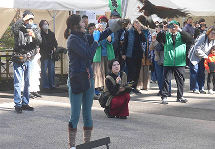 「府内のまち・文化フェス」大友宗麟も好んだと言われる鷹狩にちなんで鷹匠石橋さんによる鷹の飛翔披露